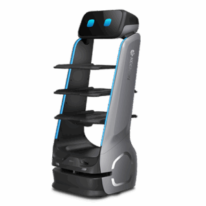Home dinerbot t9